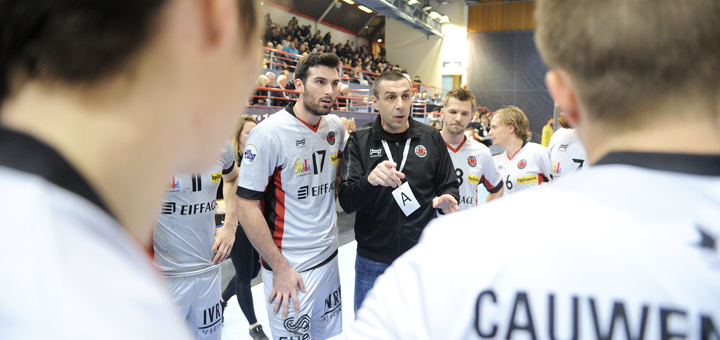 J12LSL / Cueillir les Violets