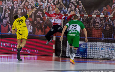 FX CHAPON DANS LE TOP ARRET LNH DE LA J14