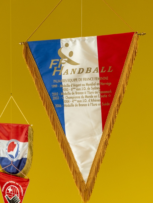 AMICALE- Maison du handball (L'AMICALE)